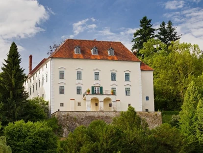 Mariage - Kinderbetreuung - St. Oswald (St. Oswald) - Schloss Ernegg in Niederösterreich  - Schloss Ernegg