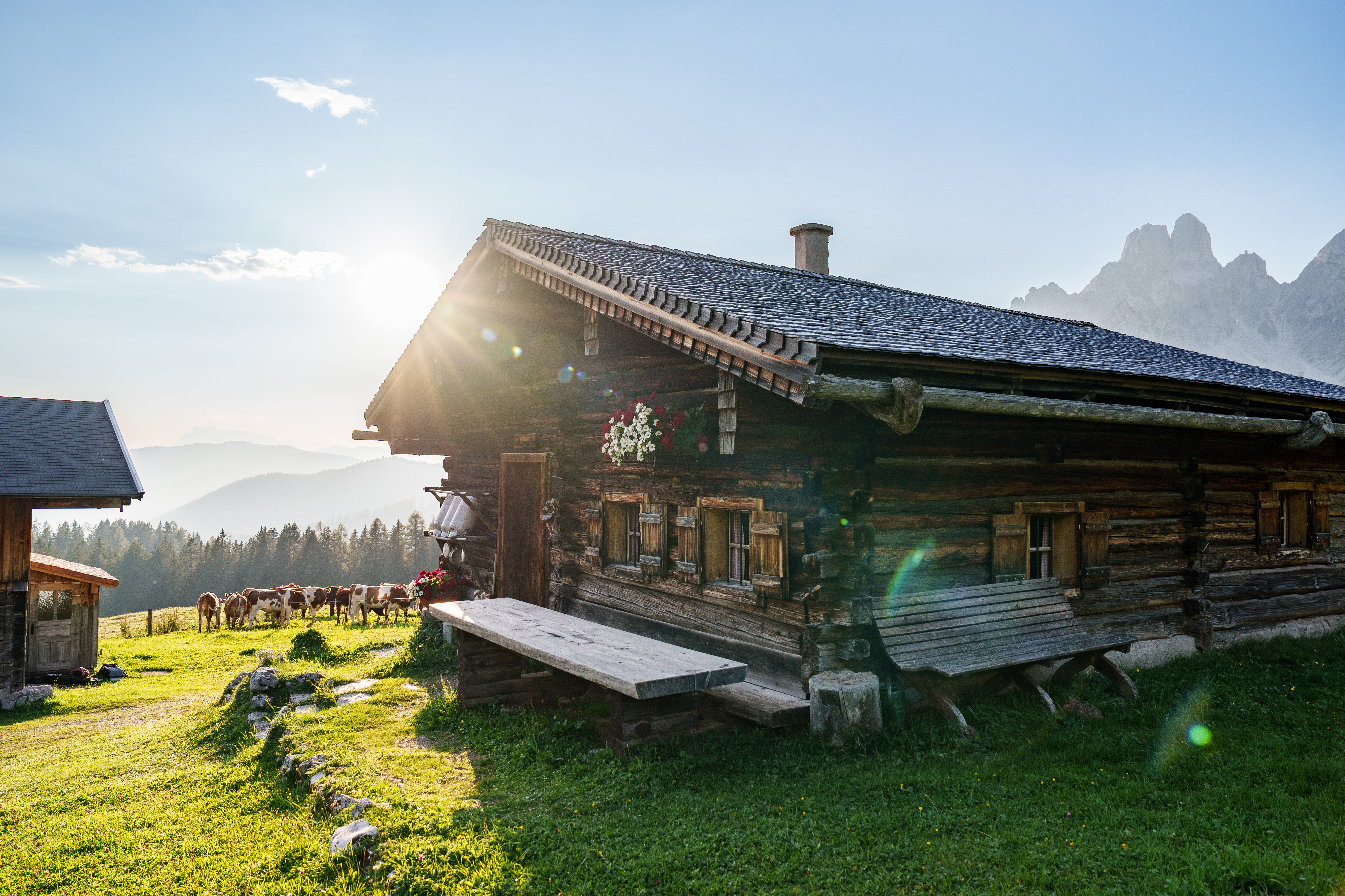 Hochzeit: Die Alm - Filzmoos 