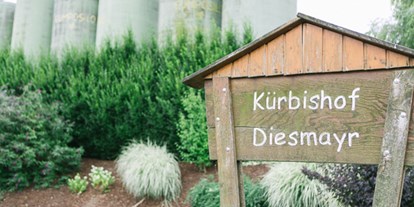 Hochzeit - Dürnbach (Dunkelsteinerwald) - Heiraten Sie im Kürbishof Diesmayr im Niederösterreich. - Kürbishof Diesmayr