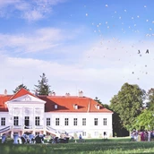 Luogo del matrimonio - Hochzeit im SCHLOSS Miller-Aichholz, Europahaus Wien - Schloss Miller-Aichholz - Europahaus Wien