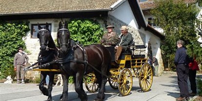 Hochzeit - Umgebung: in den Bergen - Pinzgau - Hochzeitkutsche - Alpengasthof Almrose