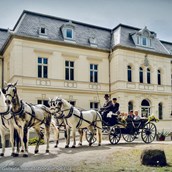 Hochzeitslocation - Kutsche mit Brautpaar vor dem Schloss - Eventschloss Schönfeld