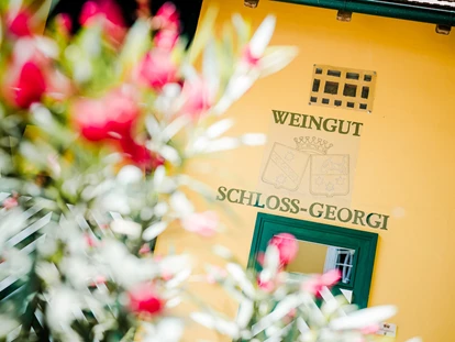 Hochzeit - Umgebung: in Weingärten - Unterbergla - Weingut Schloss Georgi - Georgi Schloss und Weingut
