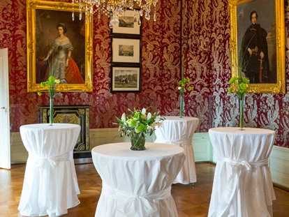 Wedding - Schönau an der Triesting - Stehempfang im roten Salon - Schloss Esterházy