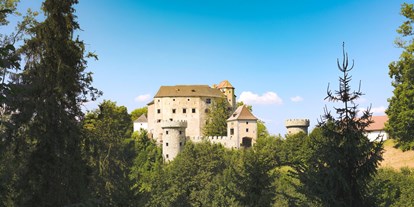 Hochzeit - Art der Location: Burg - Niederösterreich - Burg Plankenstein - Burg Plankenstein