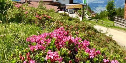 Hochzeit - Art der Location: Bauernhof/Landhaus - Mayrhofen (Mayrhofen) - Einzigartige Lage !! Traumhochzeit in den Bergen mit Übernachtung. - Berghotel Gerlosstein