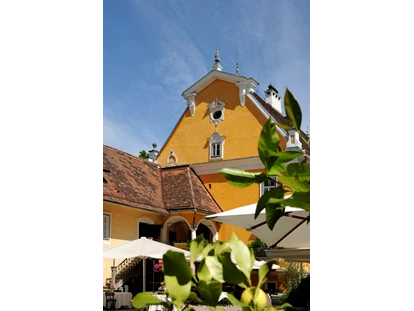 Hochzeit - Geeignet für: Seminare und Meetings - Sankt Nikolai im Sausal - Schloss Gamlitz
