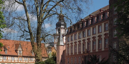 Wedding - nächstes Hotel - Laudenbach (Rhein-Neckar-Kreis) - Innenhof Schloss Erbach - Schloss Erbach