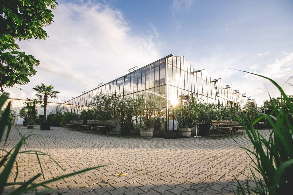 wedding venue - Arche-Moorhof