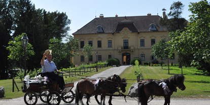 Hochzeit - Wickeltisch - Schloßhof - Schloss Eckartsau