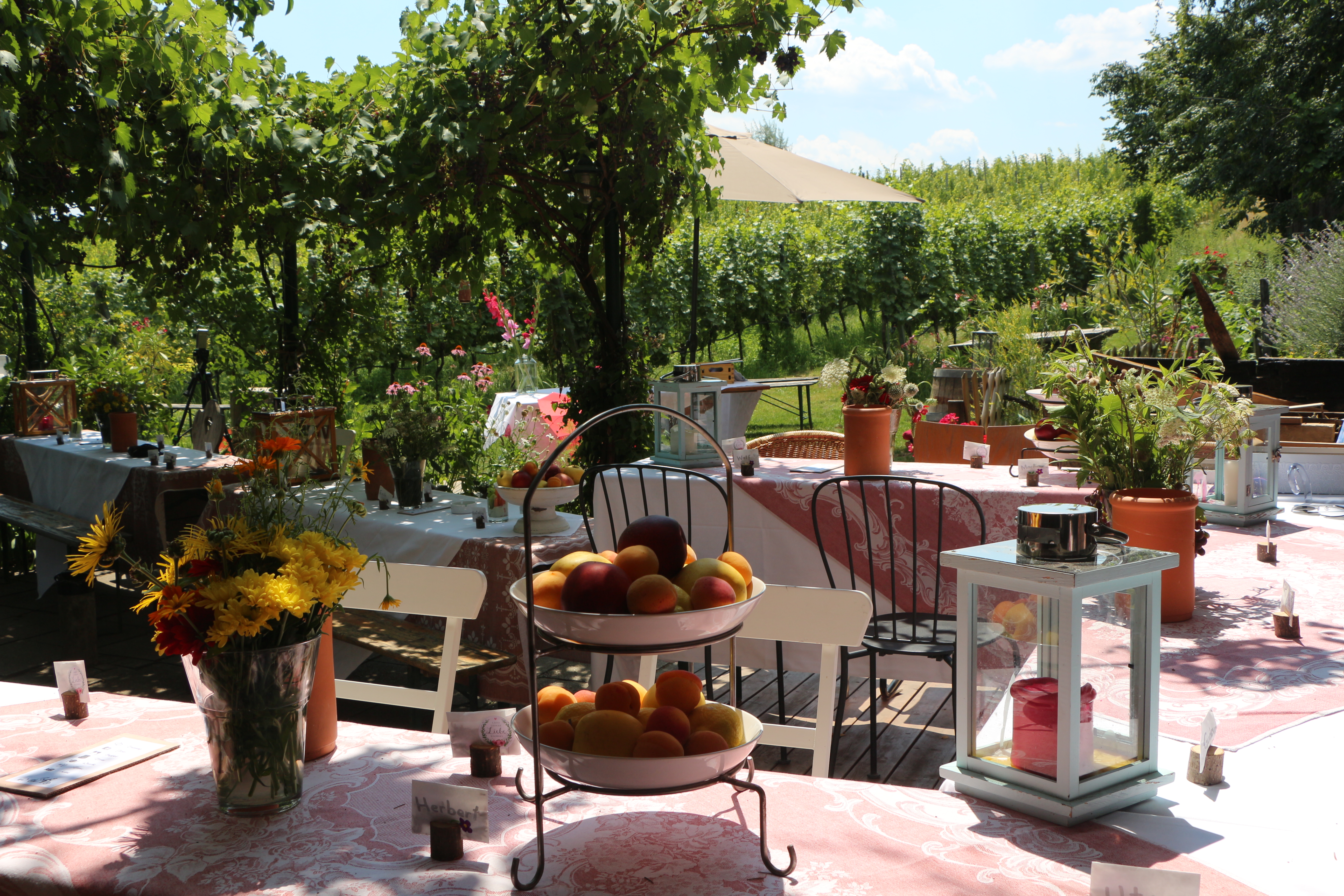 Hochzeit: Traumhaft mitten im Weingarten. - Bio-Weingut Weinhandwerk