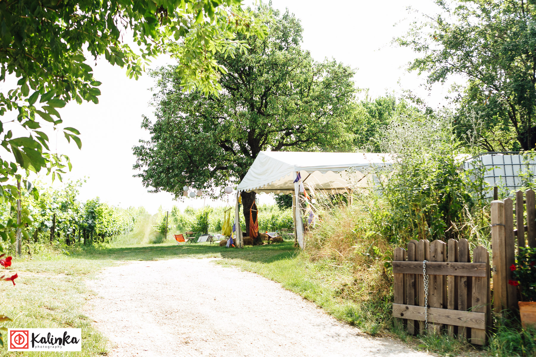 Hochzeit: Bio-Weingut Weinhandwerk
