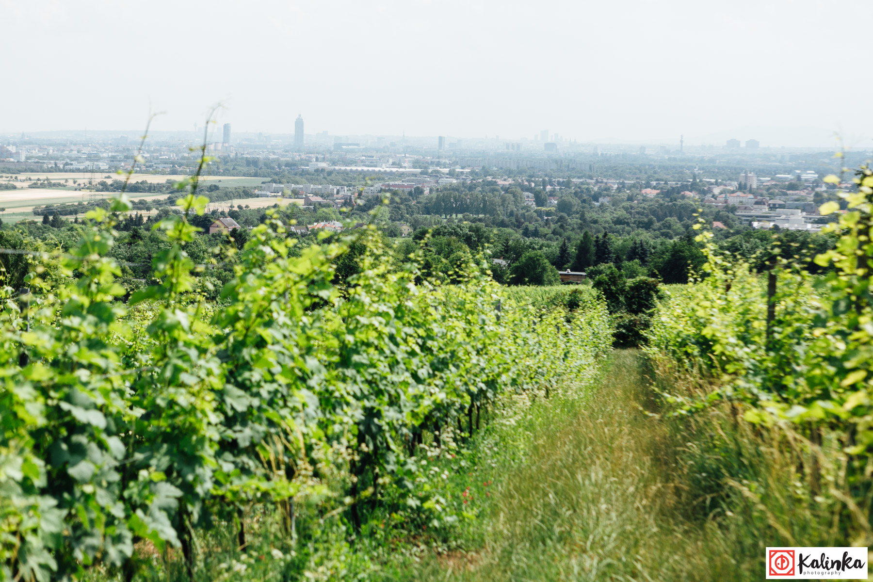 Hochzeit: Bio-Weingut Weinhandwerk