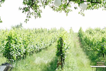 Hochzeit: Weingut Weinhandwerk