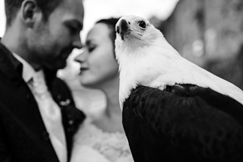 Hochzeit: Auch außergewöhnliche Fotoshootings mit den Greifvögeln der Burg sind möglich. - Heiraten auf Burg Guttenberg
