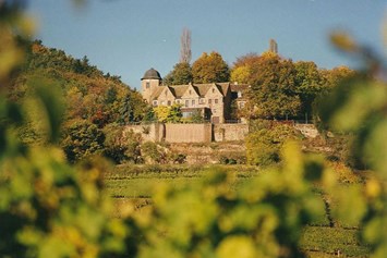 Hochzeit: Schloss Kropsburg - Draufsicht - Schloss Kropsburg