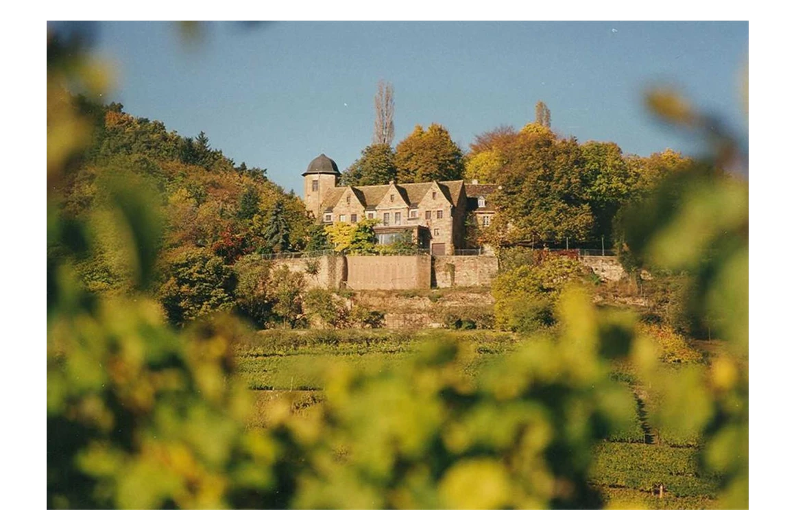 Hochzeitslocation: Schloss Kropsburg - Draufsicht - Schloss Kropsburg