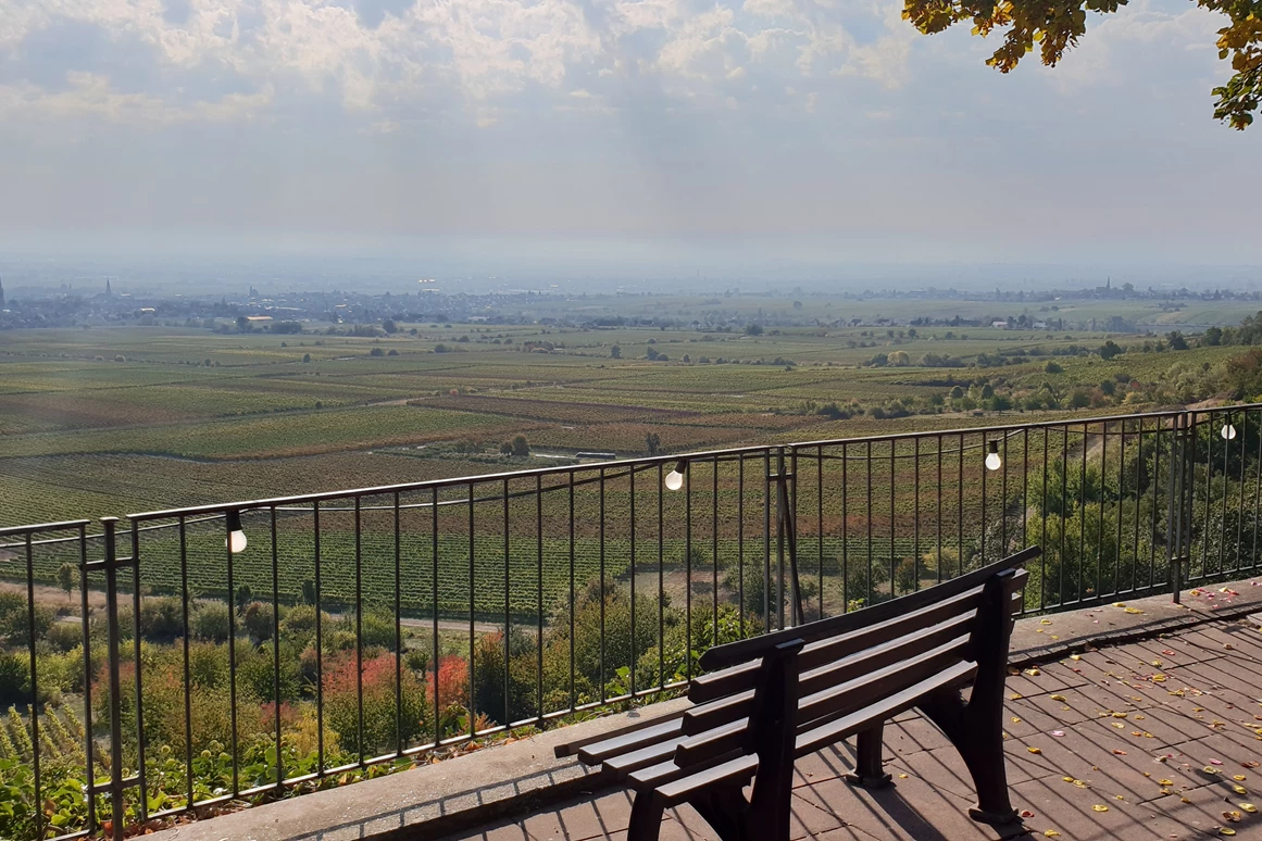 Hochzeitslocation: Schloss Kropsburg - Blick in die Rheinebene - Schloss Kropsburg