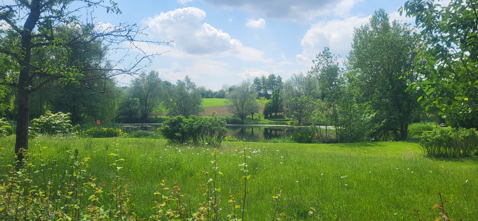 Hochzeit: Kletzmayr Gut