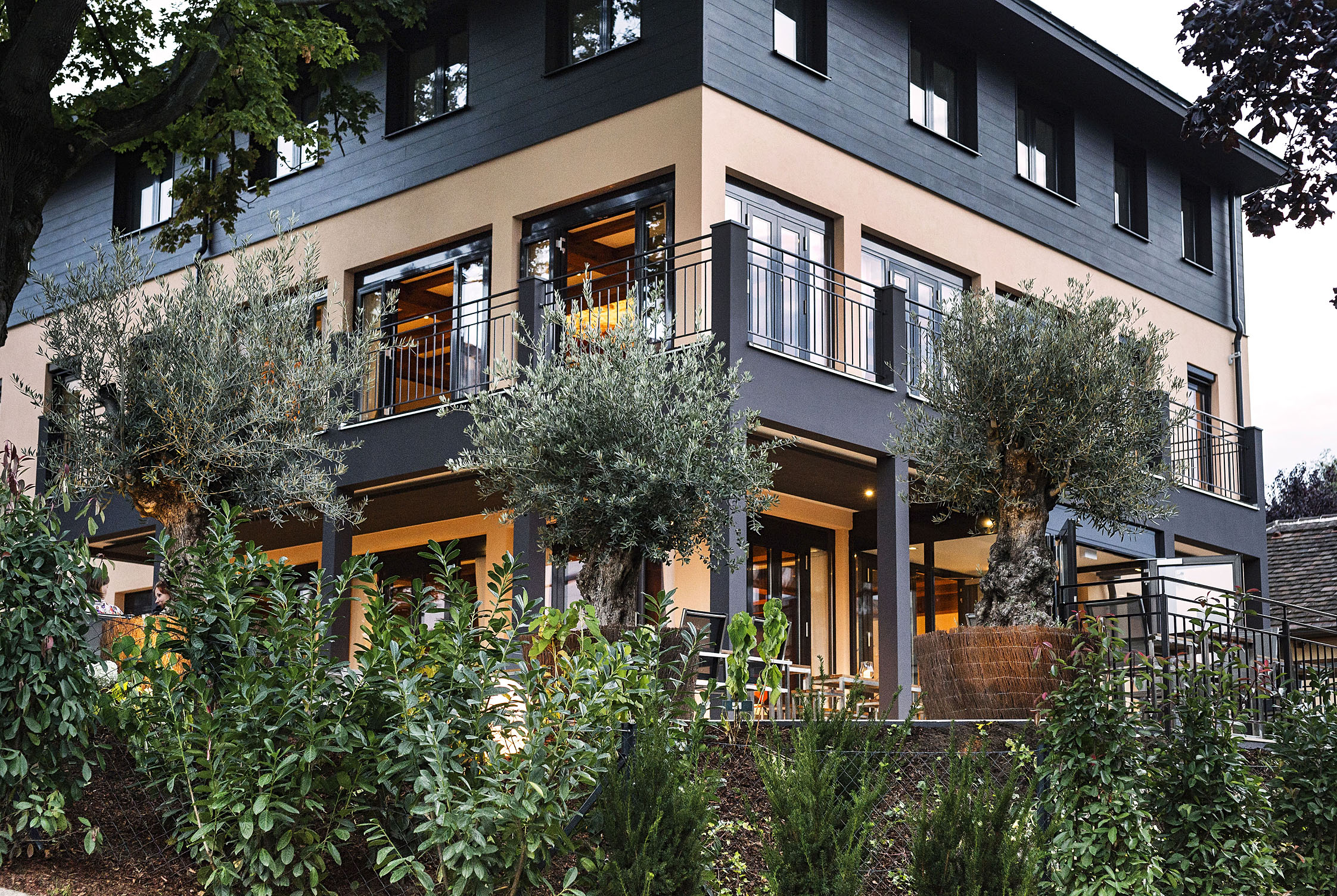 Hochzeit: Terra Rossa