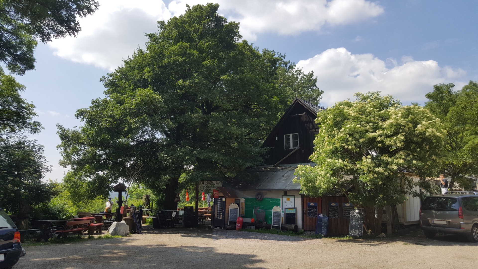 Wedding - Wien-Stadt Döbling - Gemeinsam feiern mit Familie und Freunden in idyllischer Naturkulisse über den Dächern Wiens. - Häuserl am Stoan