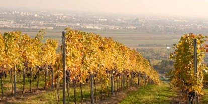 Bruiloft - Weinviertel - Weingärten des Nachbarn - Berggasthof Magdalenenhof