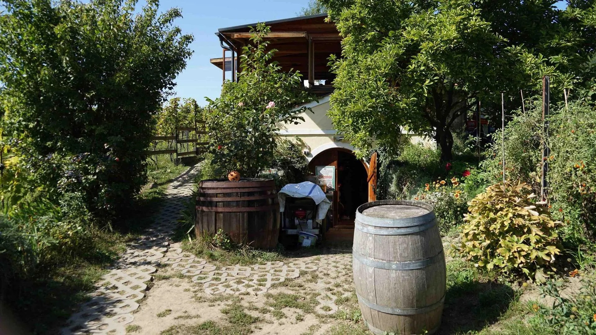 Wedding - Wien-Stadt Döbling -     Hochzeit feiern inmitten der Weinberge mit authentischem Wiener Charme. - Weingut Walter