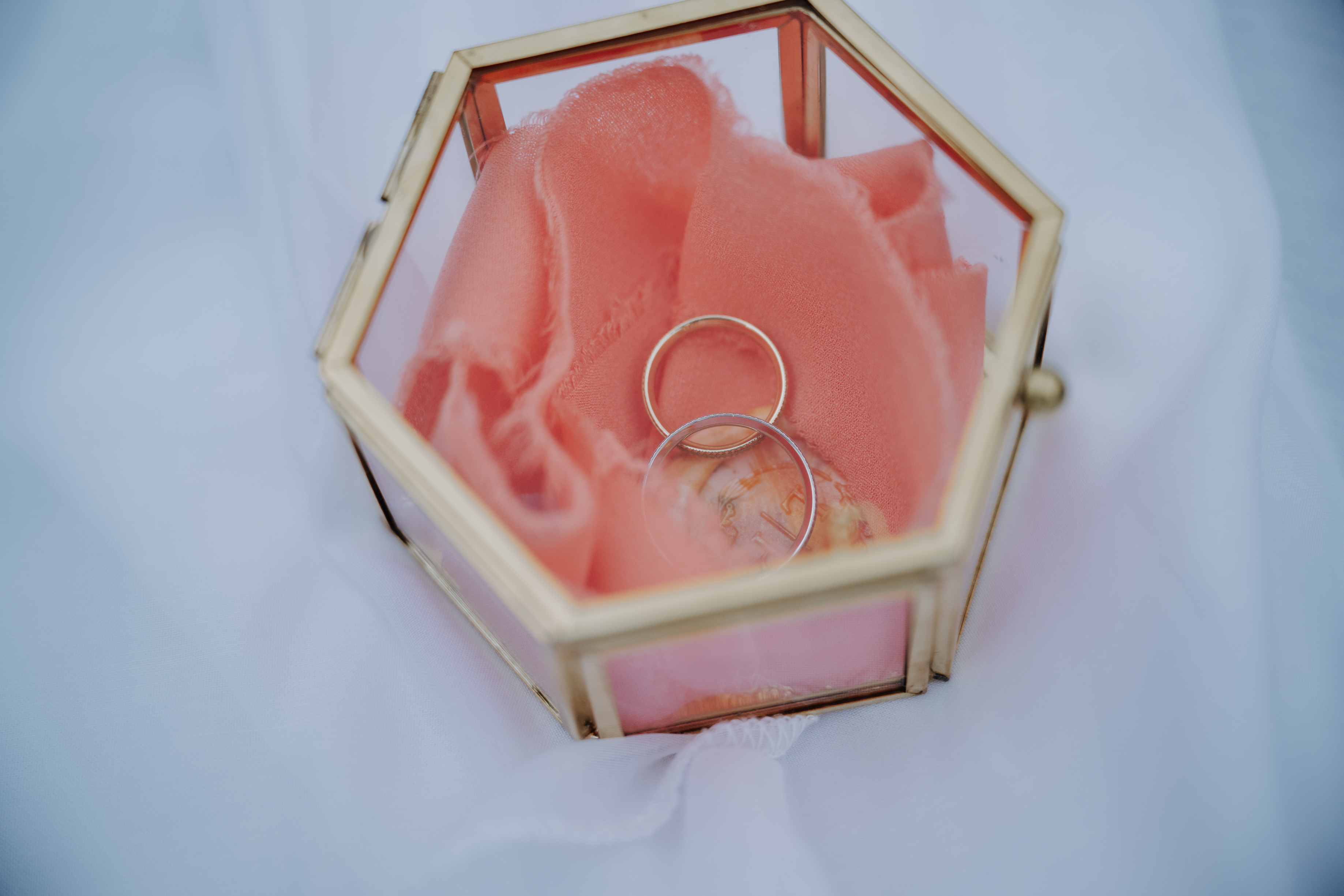 Hochzeit: Ringe - Seehotel Billroth