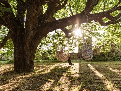 Mariage - Neutal - Baum im Hängesitzen - Burg Bernstein