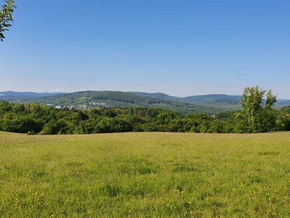 Hochzeit - Höbersdorf - Die Steinhofgründe
der schönste Park in Wien sind ein naturbelassenes Erholungsgebiet mit vielen Freizeitmöglichkeiten. Sie zeichnen sich aus durch Wanderwege, kleine Tümpel und Lagerwiesen mit einem herrlichen Blick auf Wien. Sehenswert sind die Fundamente des Mittelwellensenders "Rot-Weiß-Rot", der von der amerikanischen Armee in Österreich Anfang der 1950er-Jahre errichtet wurde, sowie die Kopfweiden am Tümpel.Det Park befindet sich 30 Meter von Hochzeitssaal  - Hochzeitssaal Wien Rosental