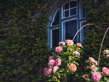 Hochzeitslocation: Villa Breitenberg