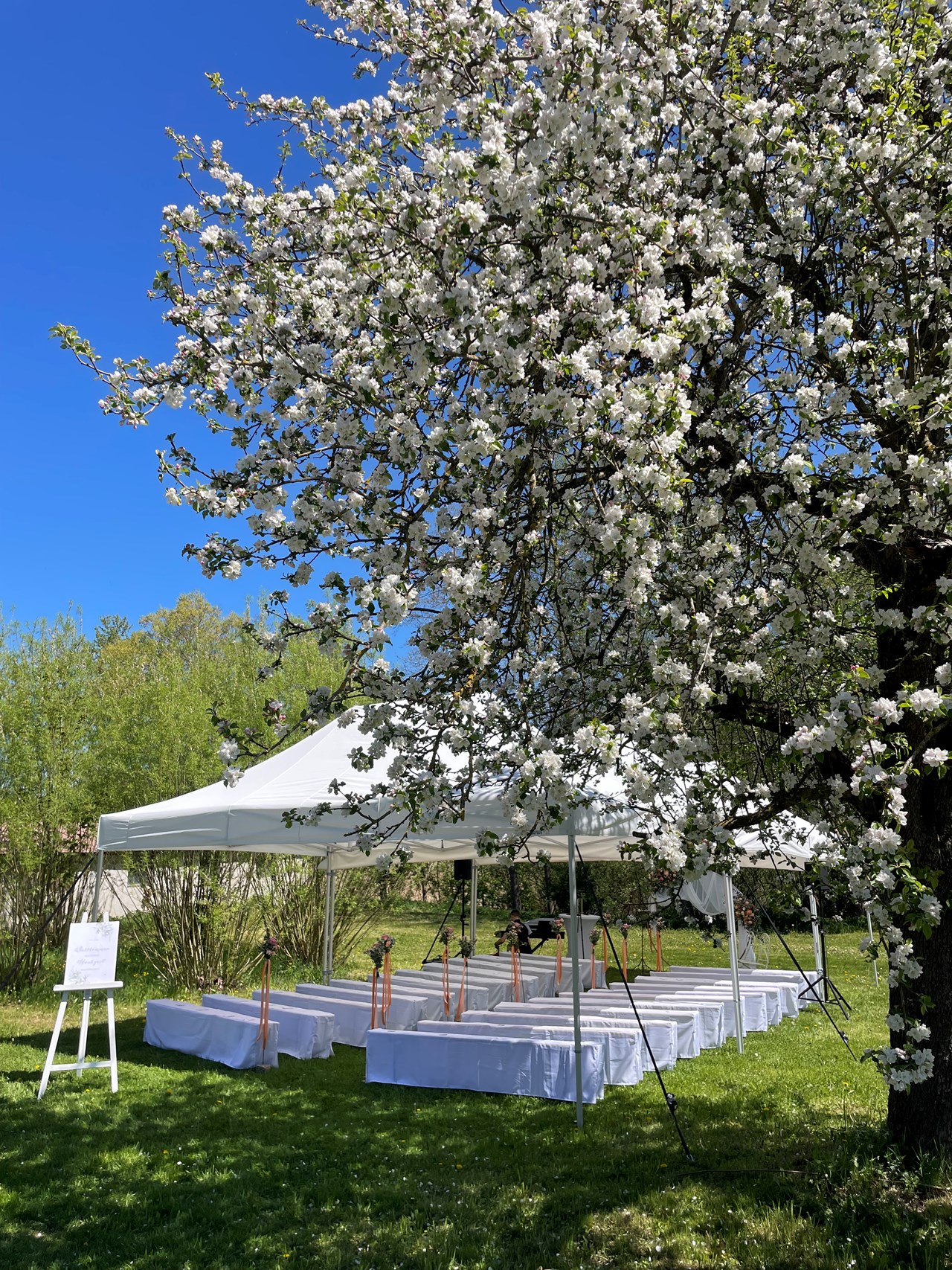 Klosterschenke Scheyern Information about the banquet halls Outdoor wedding ceremony in the orchard