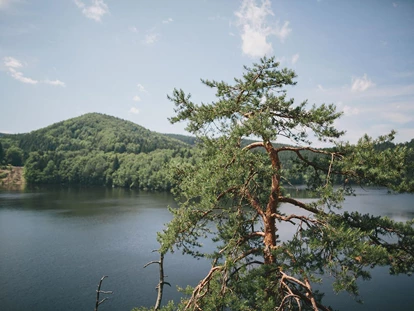 Matrimonio - Dürnstein - Ausblick auf den umliegenden See.
Foto © thomassteibl.com - Ruine Dobra