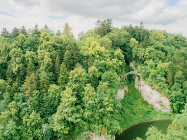 Hochzeit: Steinwiese am Donauufer des Fürstlichen Park Inzigkofen