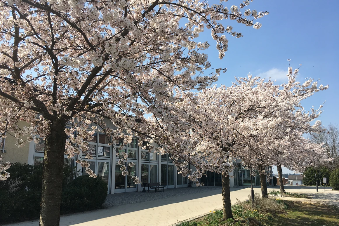 Hochzeit: Kultursaal am Park
