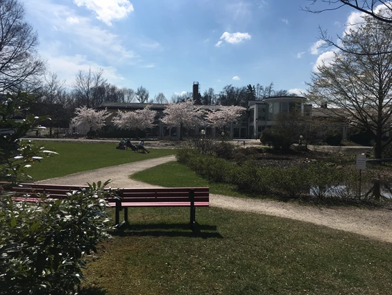 Hochzeit: Kultursaal am Park