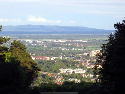 Hochzeit - Bad Vöslau - Restaurant Rudolfshof