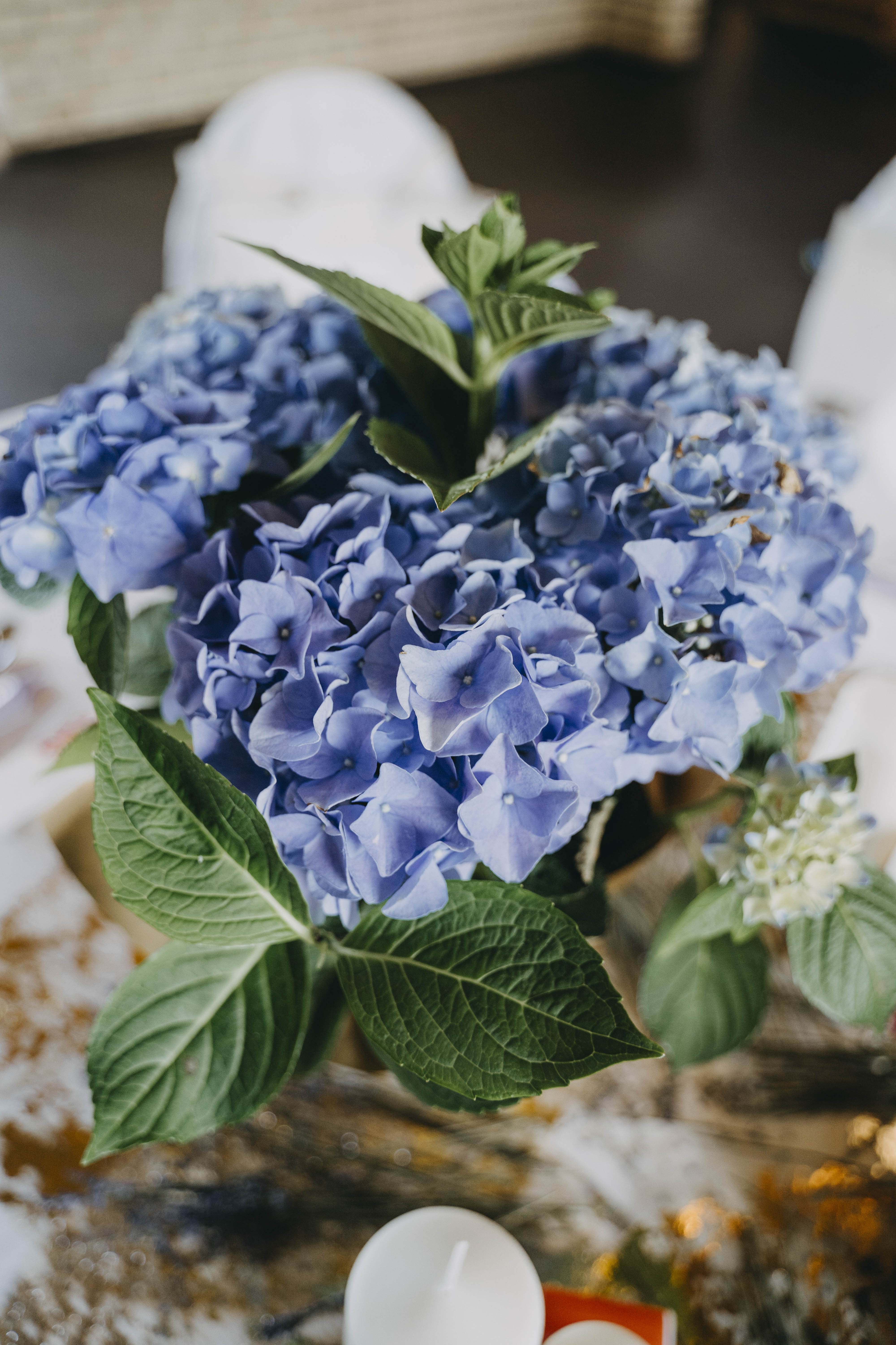 Hochzeitslocation: Feste Scheune im Stadtgut Berlin Buch