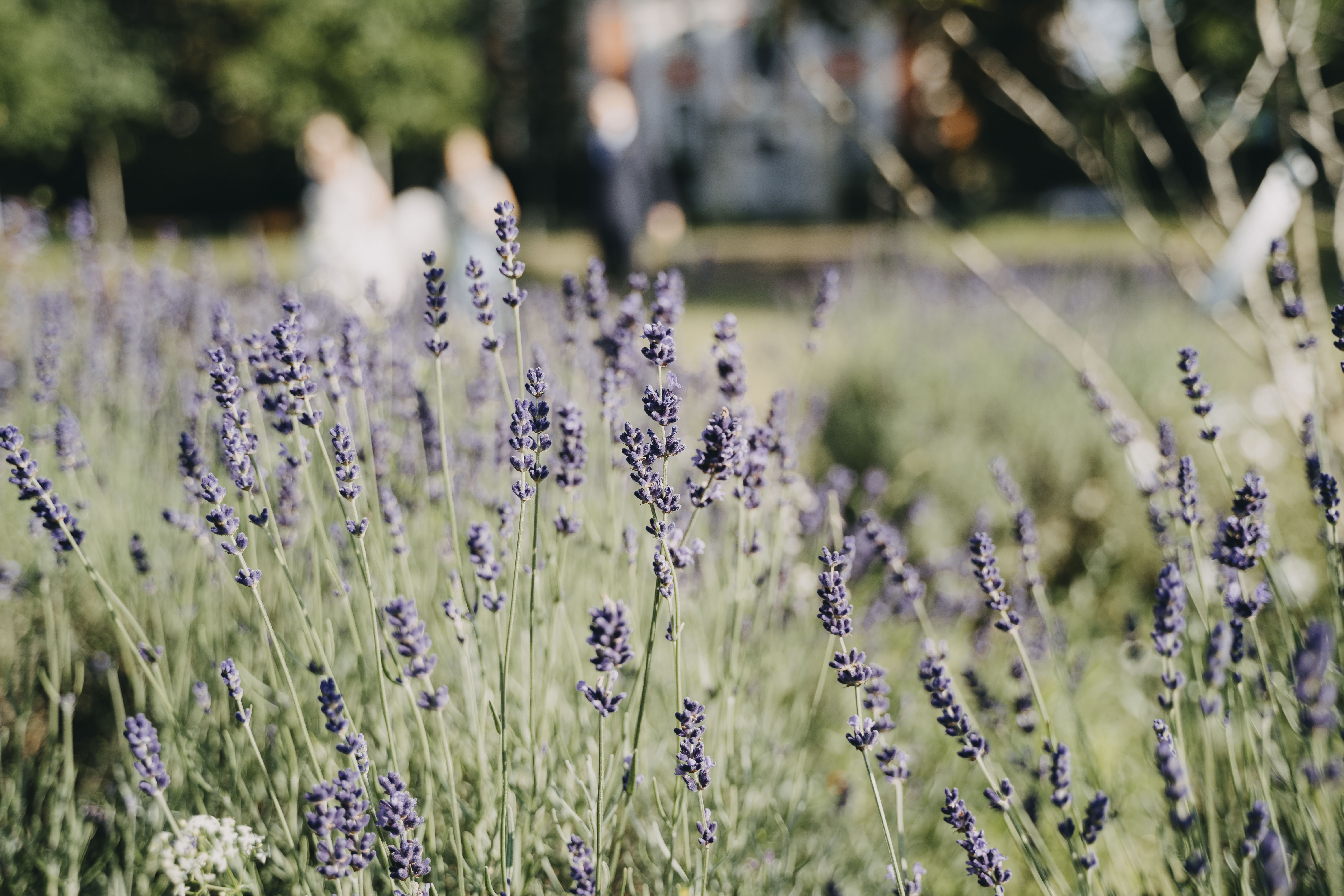 Hochzeitslocation: Feste Scheune im Stadtgut Berlin Buch