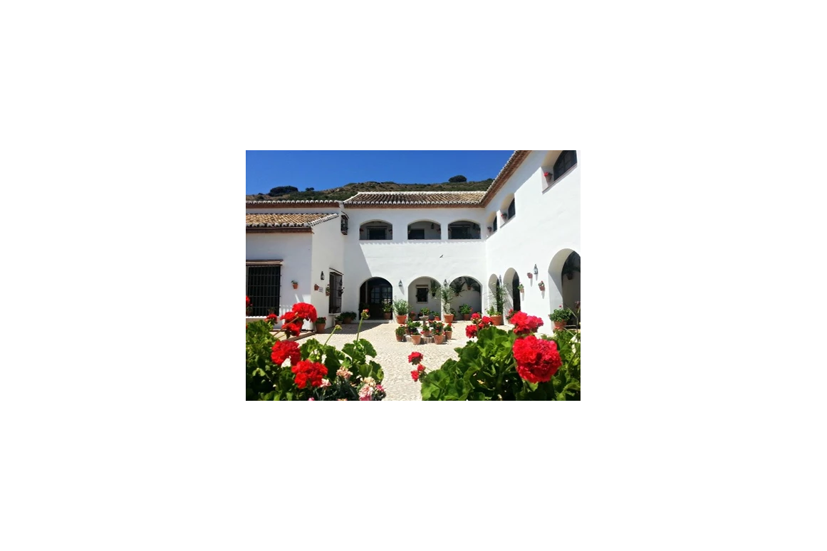 Hochzeit: Hotel Fuente del Sol -Patio  - Hotel Fuente del Sol