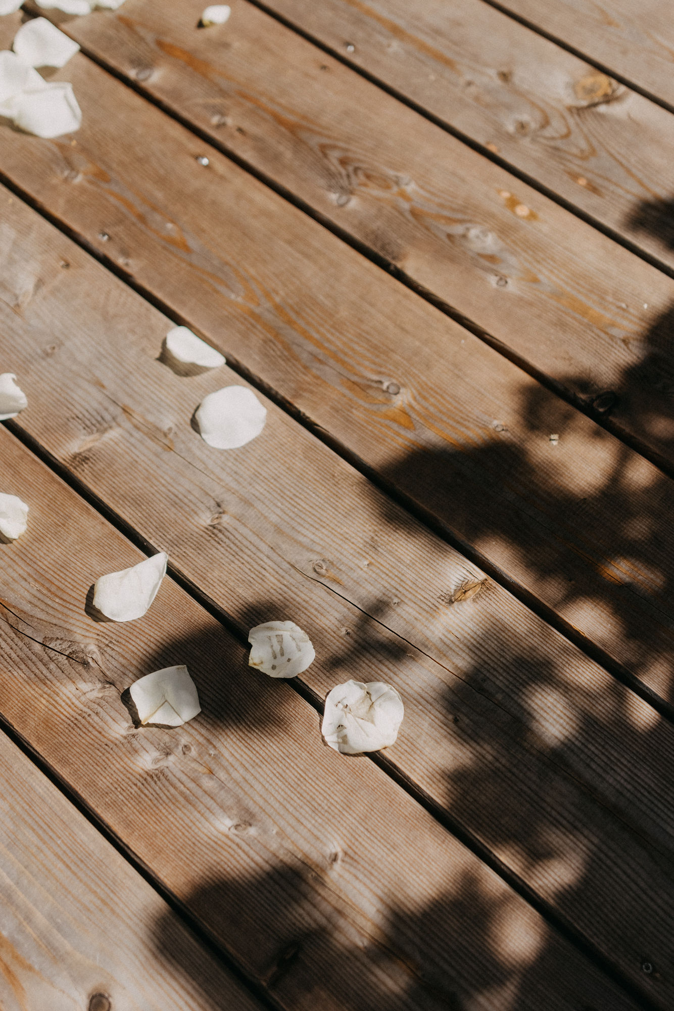 Hochzeitslocation: Salzbergalm 