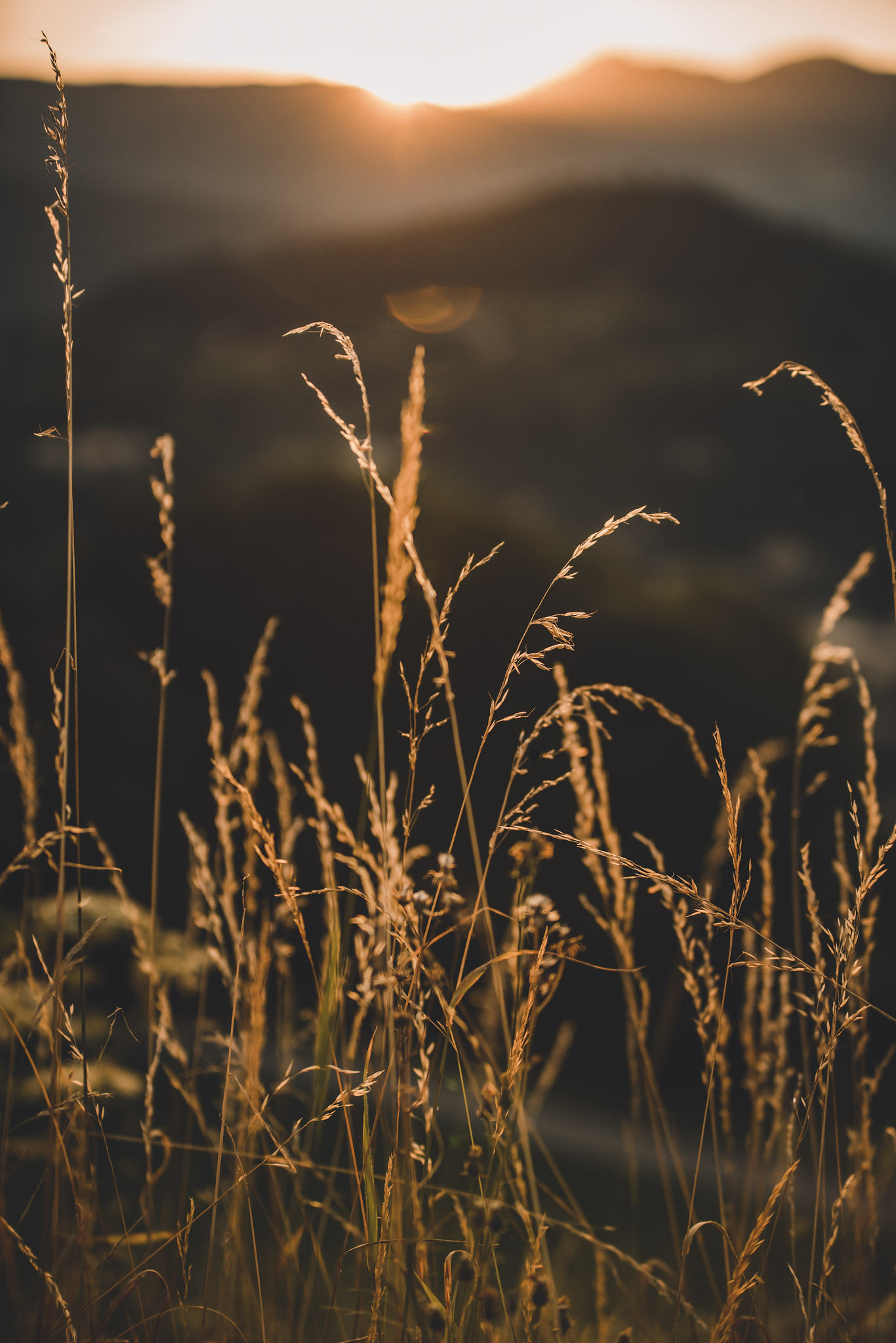 Hochzeitslocation: Salzbergalm 