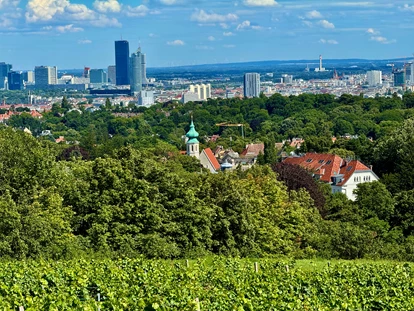 Hochzeit - Höbersdorf - Wienblick mit Grinzinger Kirche - Am Reisenberg  Wedding & Eventlocation