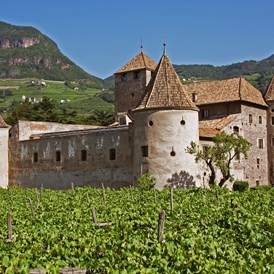 Hochzeit: Historische Mauern, von Weinreben umgeben - Schloss Maretsch