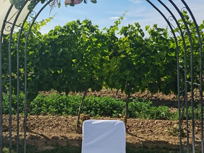 Matrimonio - Röhrenbach (Röhrenbach) - Blumenbogen geschmückt/ Festwiese - W4 - Wein l Genuss l Kultur