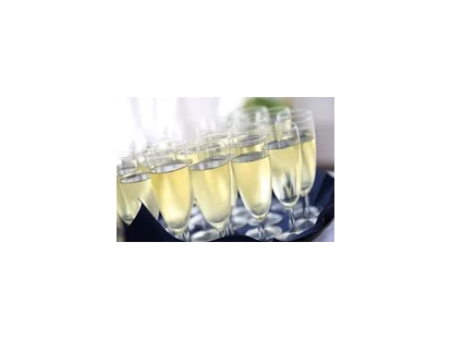 Hochzeit - Wallsee - Schloss Events Enns