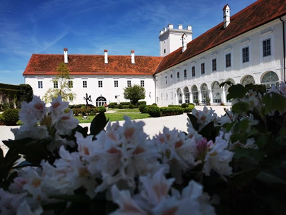 Hochzeit - Wallsee - Schloss Events Enns