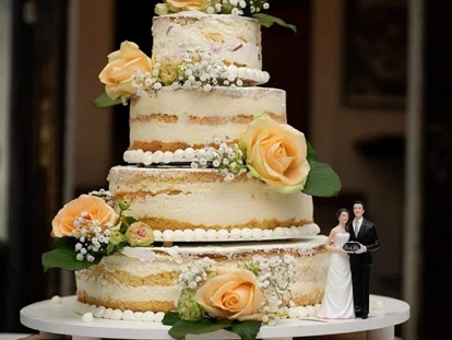 Hochzeit - Wallsee - Hochzeitstortentraum von der Konditorei Stöger - Schloss Events Enns