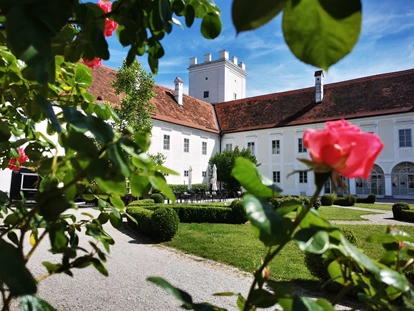Hochzeit - Wallsee - Schloss Events Enns