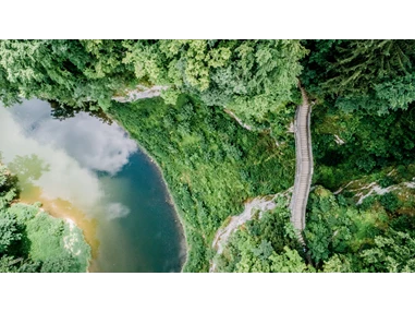 Hochzeitslocation: Meinradskapelle - Waldhochzeit im Fürstl. Park Inzigkofen